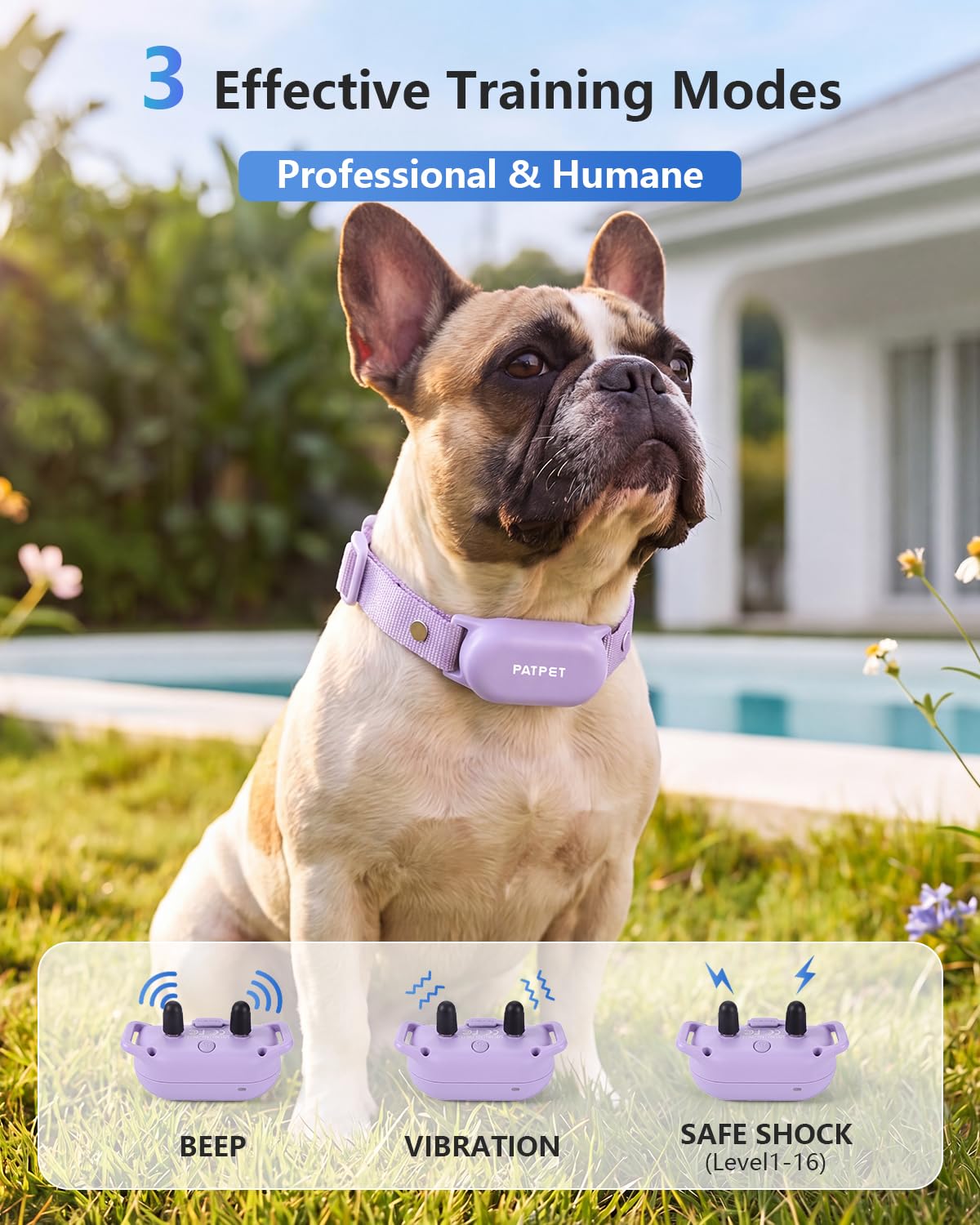 PATPET 4000ft Waterproof Training Collar for Two Dogs