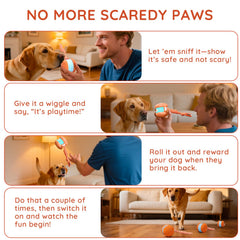 Interactive Automatic Dog Ball Toy with Rope for Mental Stimulation