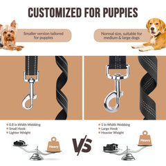 2-Pack Dog Car Seat Belt with Adjustable Bungee for Safe Travel