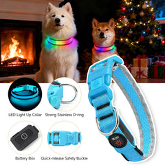 Rechargeable LED Dog Collar for Night Walking & Visibility