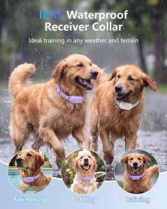 PATPET 4000ft Waterproof Training Collar for Two Dogs