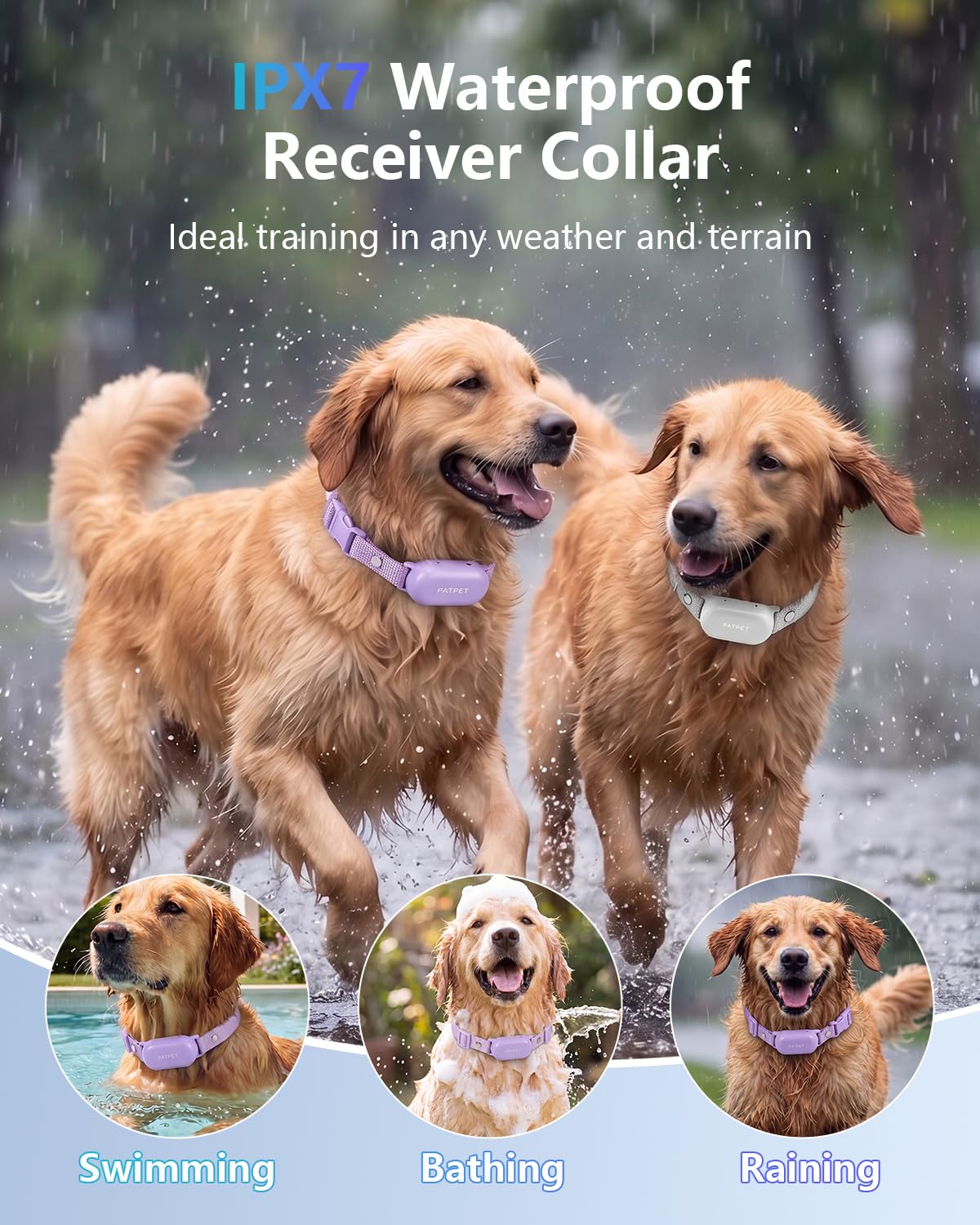 PATPET 4000ft Waterproof Training Collar for Two Dogs