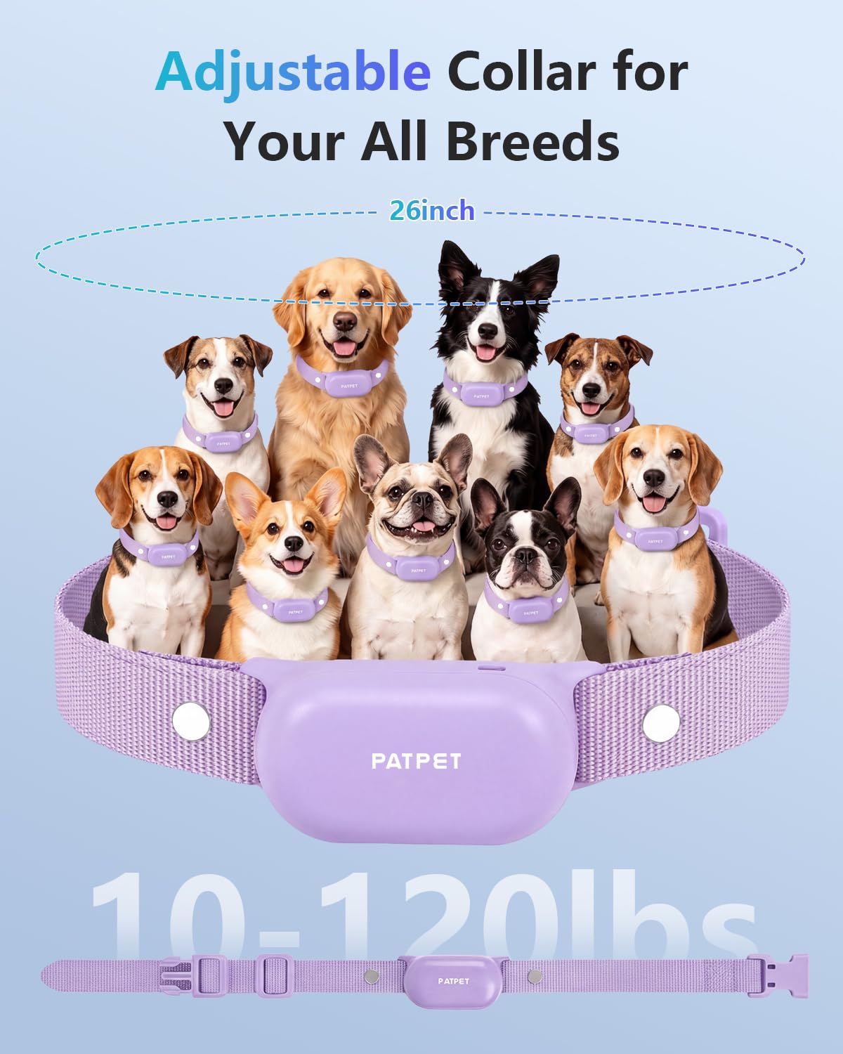 PATPET 4000ft Waterproof Training Collar for Two Dogs