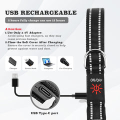 Rechargeable LED Dog Leash with 7 Lighting Modes & Padded Handle