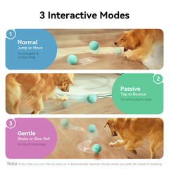 Cheerble Wicked Ball AIR Interactive Automatic Dog Toy