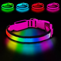 Rechargeable LED Dog Collar for Night Walking & Visibility
