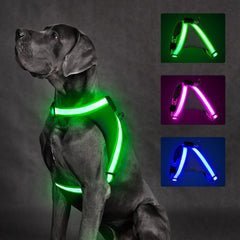 ChalkLit Light-Up Dog Harness for Nighttime Visibility