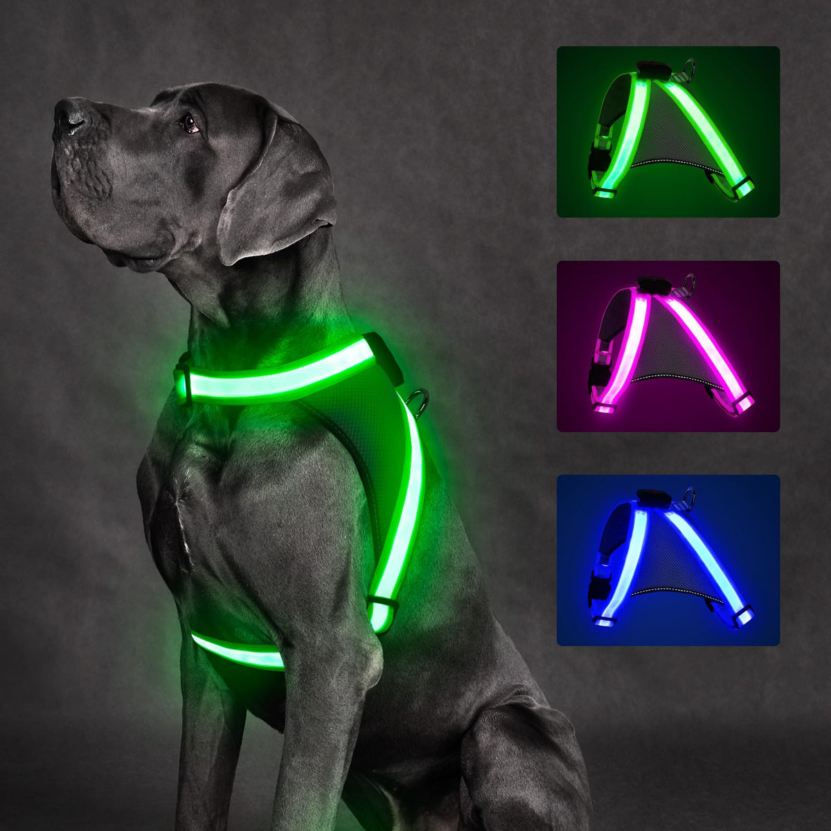 ChalkLit Light-Up Dog Harness for Nighttime Visibility