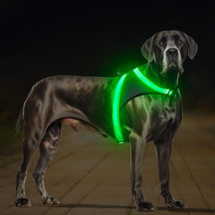 ChalkLit Light-Up Dog Harness for Nighttime Visibility