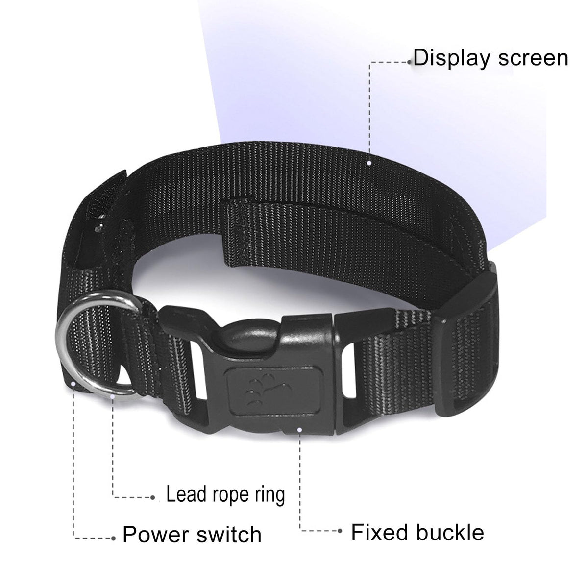Rechargeable LED Dog Collar with App Control & High Visibility