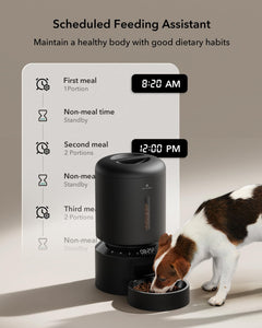 5L Automatic Pet Feeder with Dual Stainless Steel Bowls