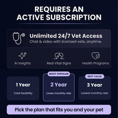 AI Dog Health Monitoring Collar with GPS & 24/7 Vital Tracking