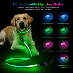 Rechargeable LED Dog Leash with 7 Lighting Modes & Padded Handle