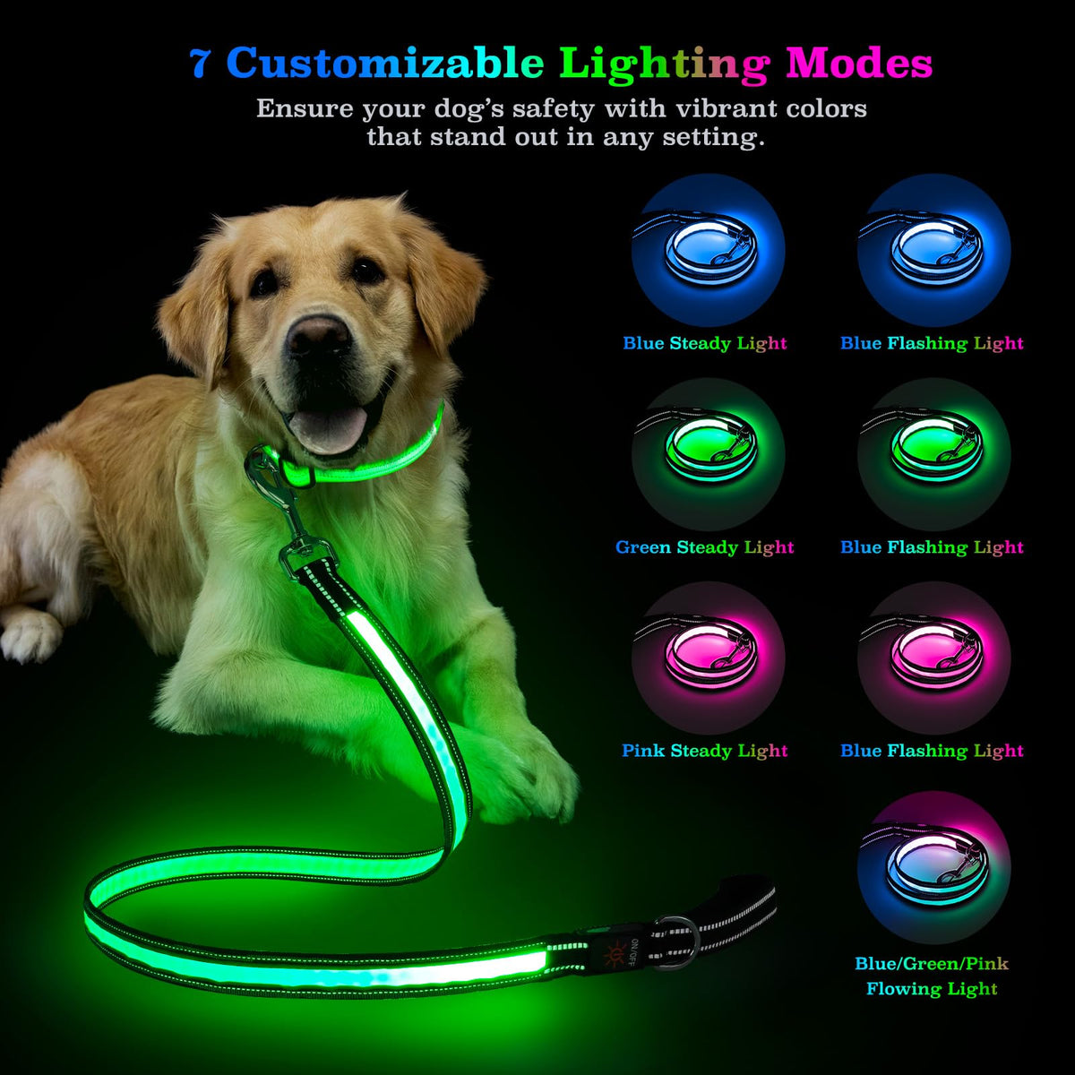 Rechargeable LED Dog Leash with 7 Lighting Modes & Padded Handle