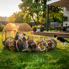 Outdoor Cat Enclosure Playground with Interactive Play Ball