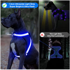 ChalkLit Light-Up Dog Harness for Nighttime Visibility