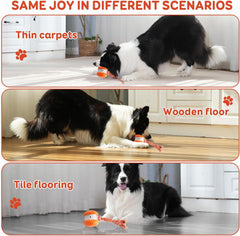 Interactive Automatic Dog Ball Toy with Rope for Mental Stimulation