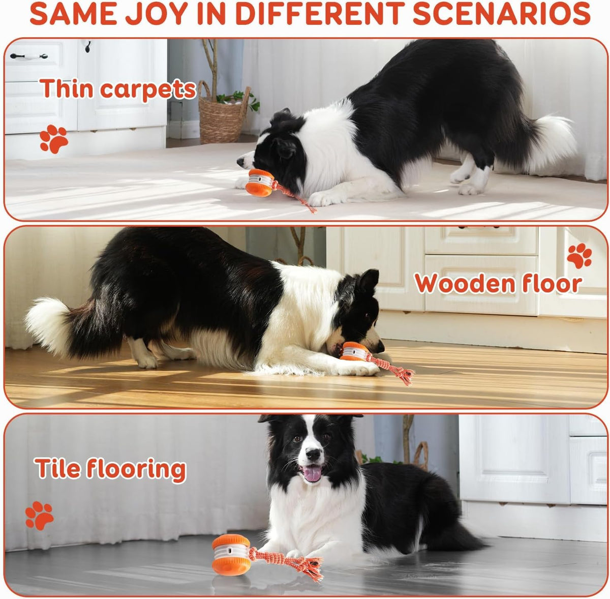 Interactive Automatic Dog Ball Toy with Rope for Mental Stimulation