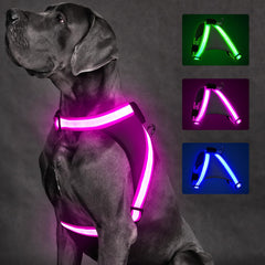 ChalkLit Light-Up Dog Harness for Nighttime Visibility