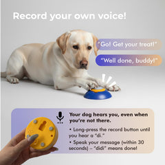 Interactive Automatic Dog Puzzle Feeder & Treat Dispenser
