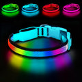 Rechargeable LED Dog Collar for Night Walking & Visibility
