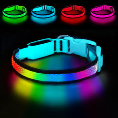 Rechargeable LED Dog Collar for Night Walking & Visibility