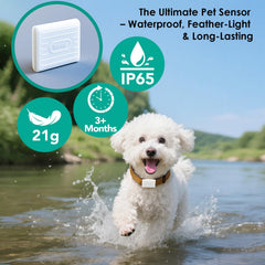 Automatic Smart Dog Door with Secure Pet Access Control