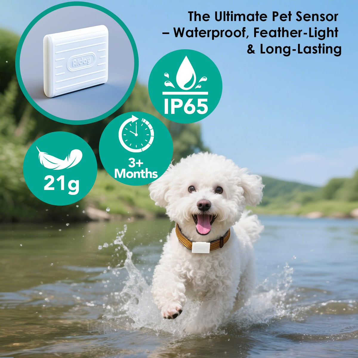 Automatic Smart Dog Door with Secure Pet Access Control
