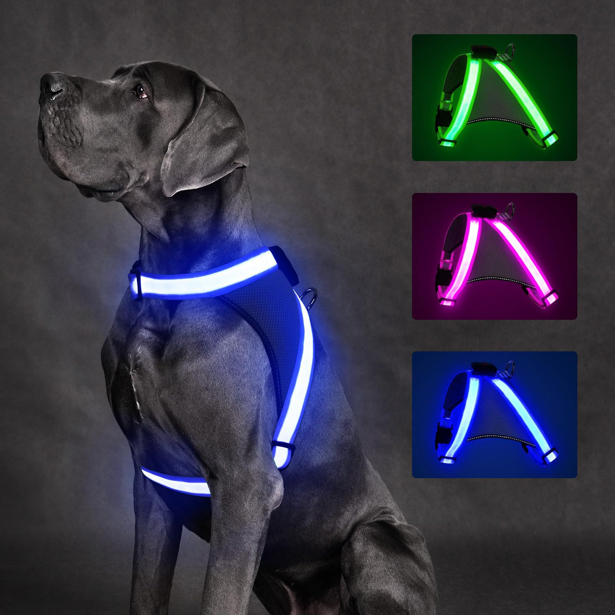 ChalkLit Light-Up Dog Harness for Nighttime Visibility
