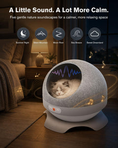 Smart Heated & Cooling Cat House for Small to Medium Cats