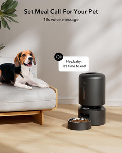 5L Automatic Pet Feeder with Dual Stainless Steel Bowls