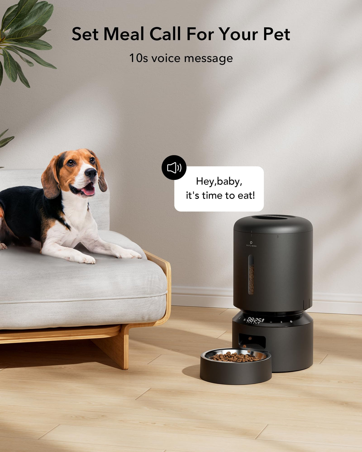 5L Automatic Pet Feeder with Dual Stainless Steel Bowls