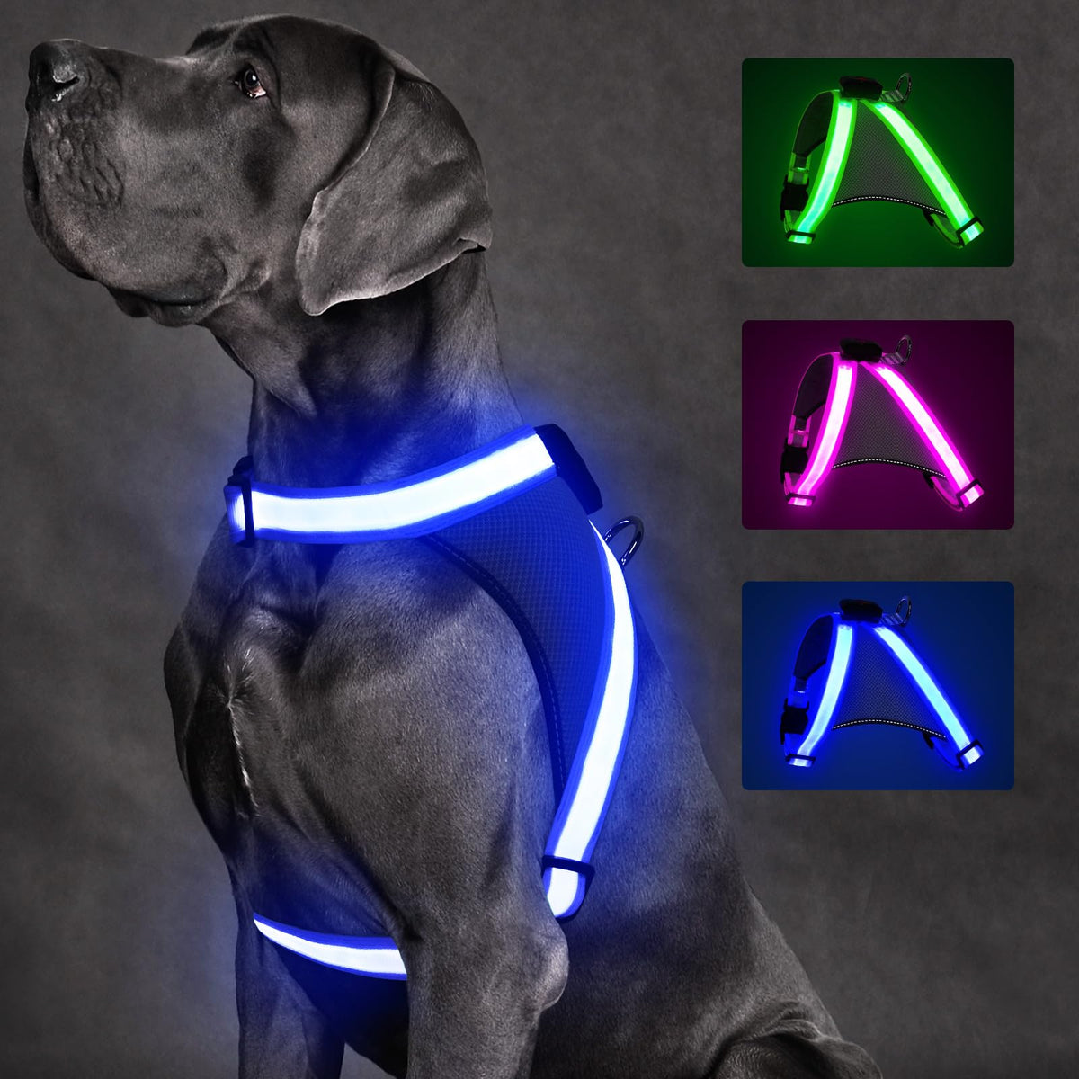 ChalkLit Light-Up Dog Harness for Nighttime Visibility