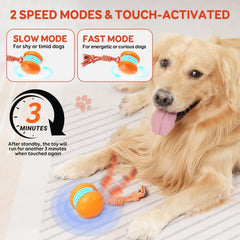 Interactive Automatic Dog Ball Toy with Rope for Mental Stimulation