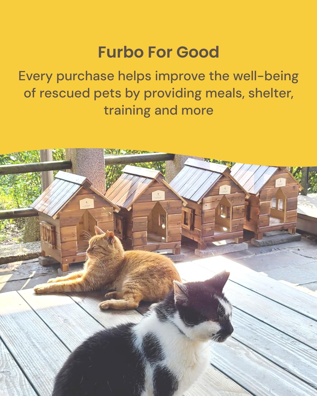 Furbo 360° Pet Camera with HD Monitoring & Treat Dispensing