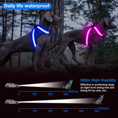 ChalkLit Light-Up Dog Harness for Nighttime Visibility