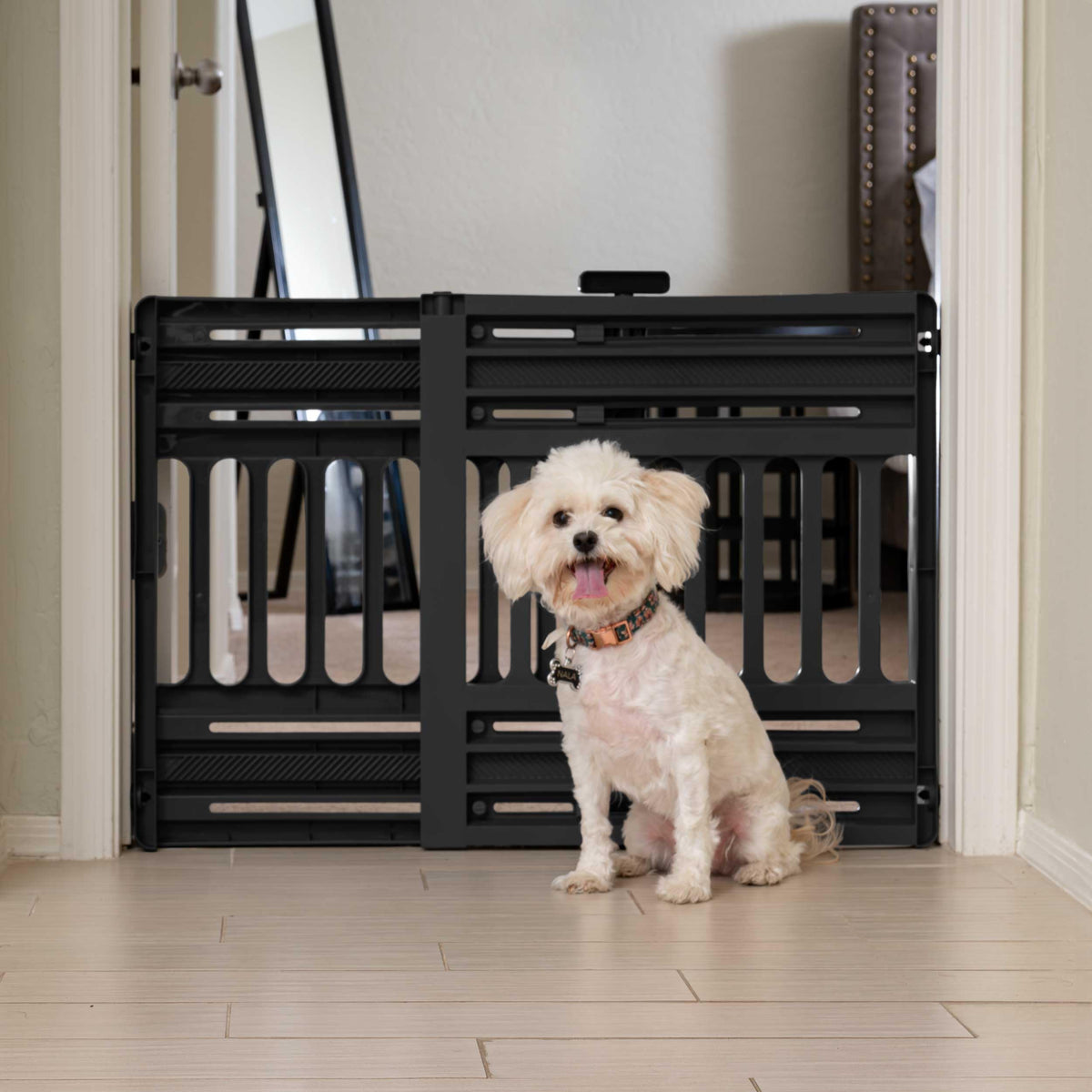 Plastic Pet Safety Gate for Dogs & Cats, Indoor Home Use
