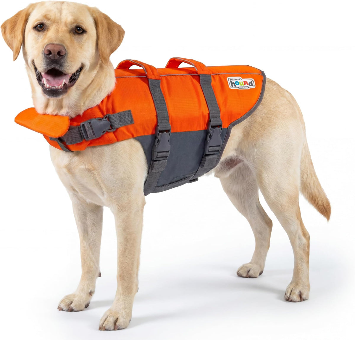 Outward Hound Dawson Red Dog Life Jacket for Large Dogs