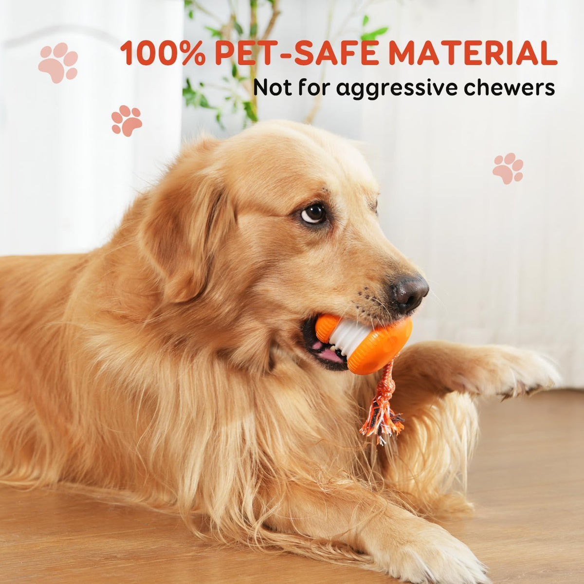 Interactive Automatic Dog Ball Toy with Rope for Mental Stimulation