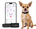 AI Dog Health Monitoring Collar with GPS & 24/7 Vital Tracking