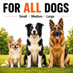Rechargeable Ultrasonic Dog Bark Deterrent & Training Device