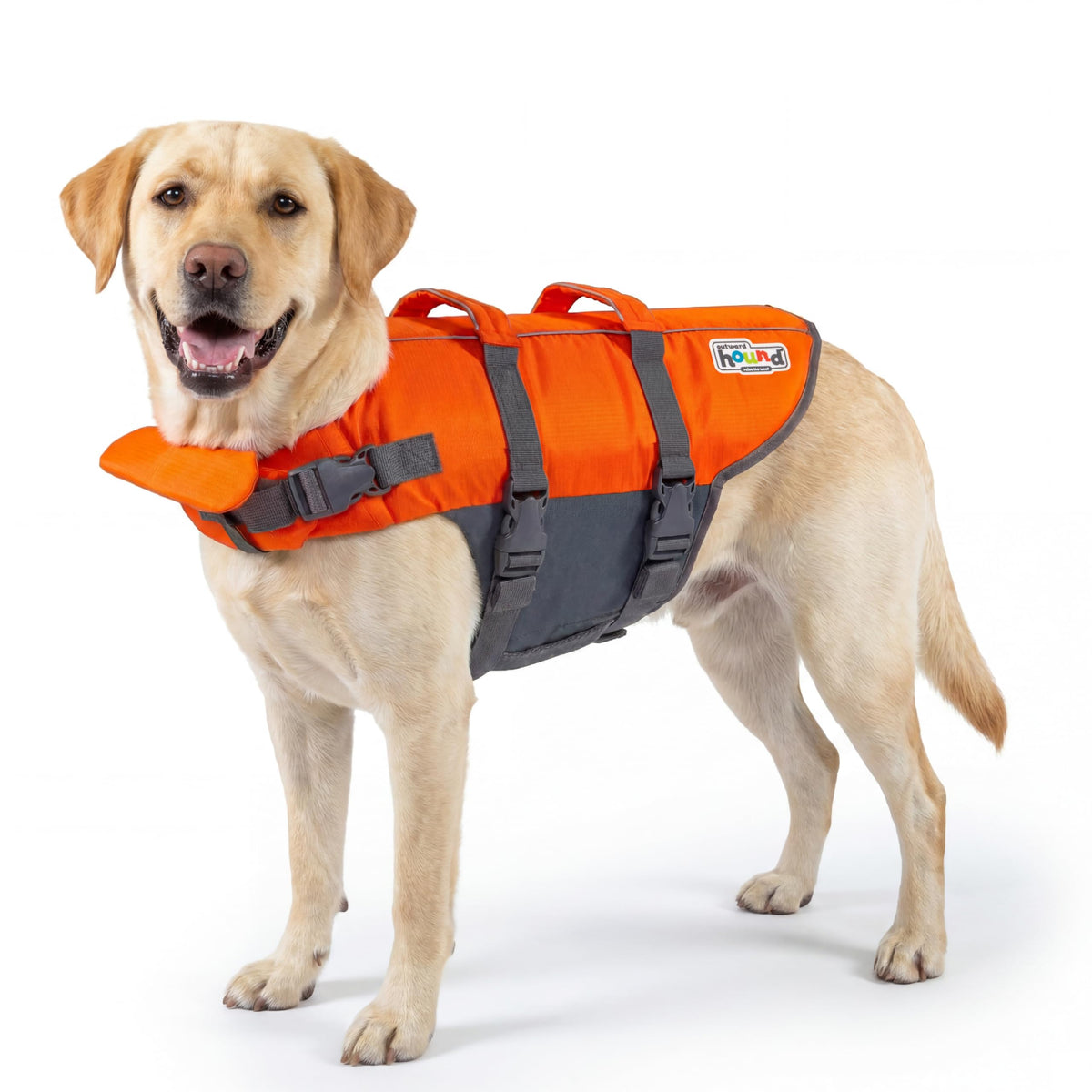 Outward Hound Dawson Red Dog Life Jacket for Large Dogs