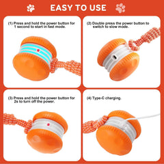 Interactive Automatic Dog Ball Toy with Rope for Mental Stimulation