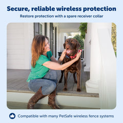 PetSafe Wireless Pet Fence Receiver Collar for Dogs & Cats