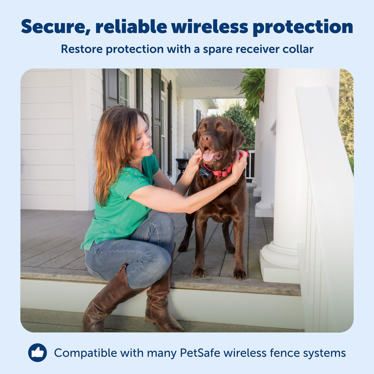 PetSafe Wireless Pet Fence Receiver Collar for Dogs & Cats