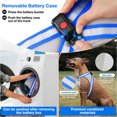 ChalkLit Light-Up Dog Harness for Nighttime Visibility