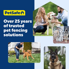 PetSafe Adjustable Training Collar for Dogs with Secure Fit