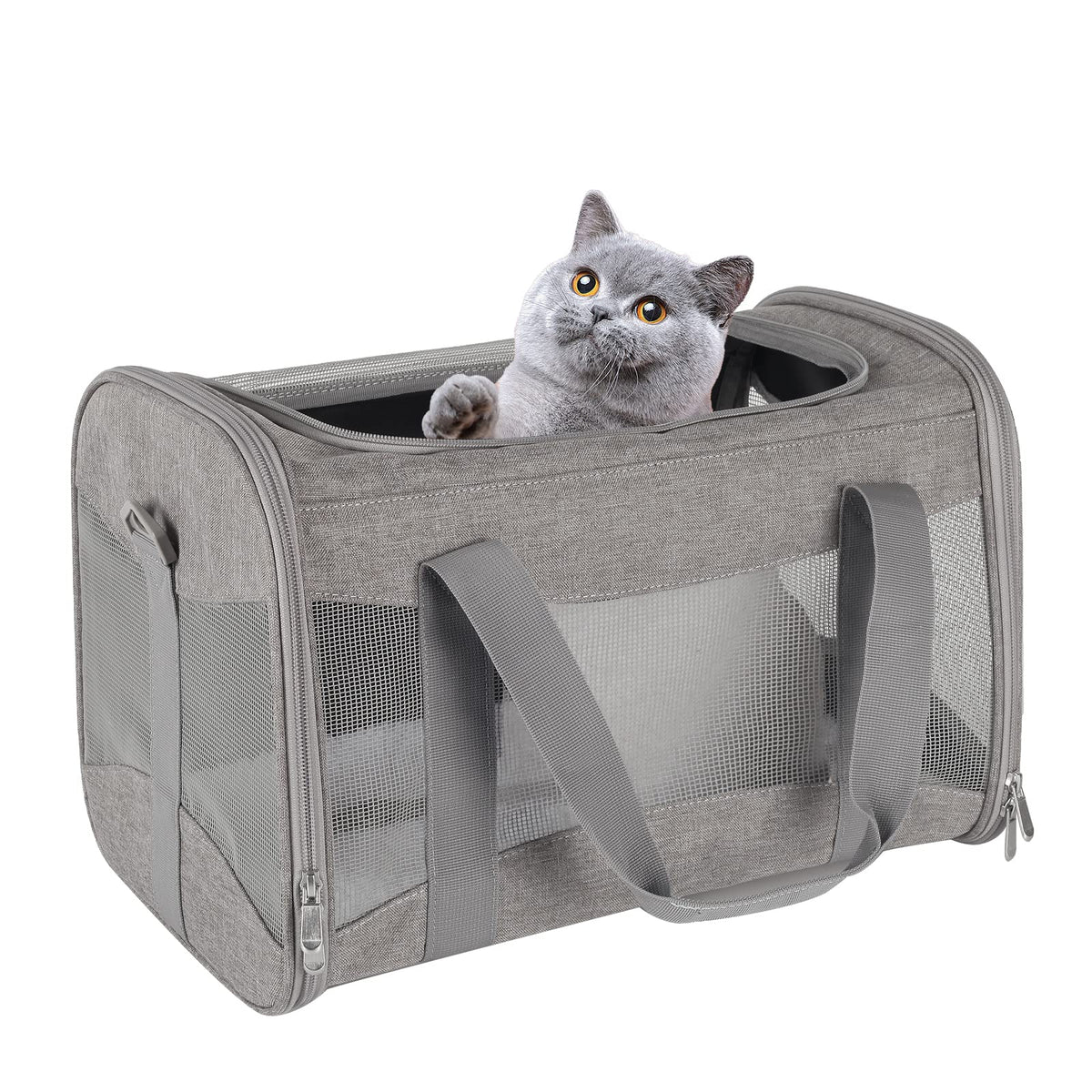 Airline-Approved Breathable Pet Carrier for Cats & Small Dogs