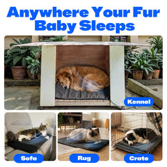 3-Level Electric Pet Heating & Cooling Mat with Ventilation Fan