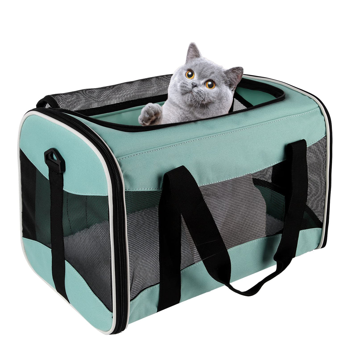 Airline-Approved Breathable Pet Carrier for Cats & Small Dogs